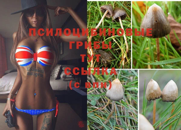 гидра Медвежьегорск