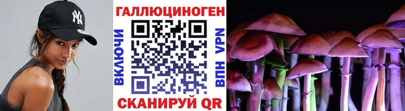 Псилоцибиновые грибы ЛСД  MEGA tor  Ельня  магазин  наркотиков 