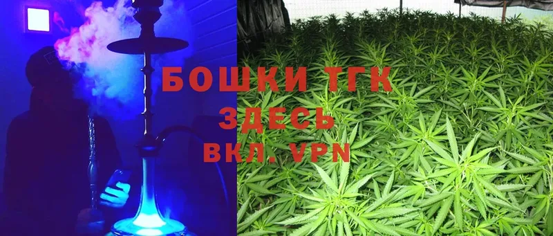 купить  сайты  Ельня  Бошки Шишки SATIVA & INDICA 